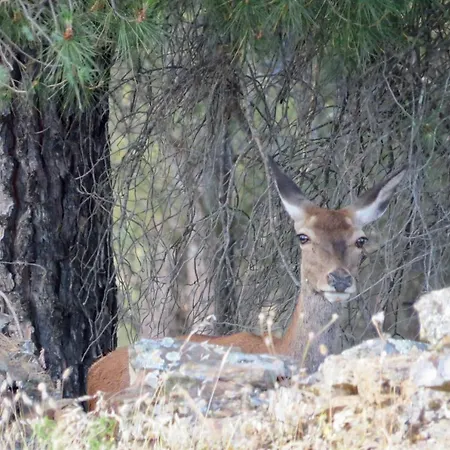 Ξενοδοχείο Rural Eloy